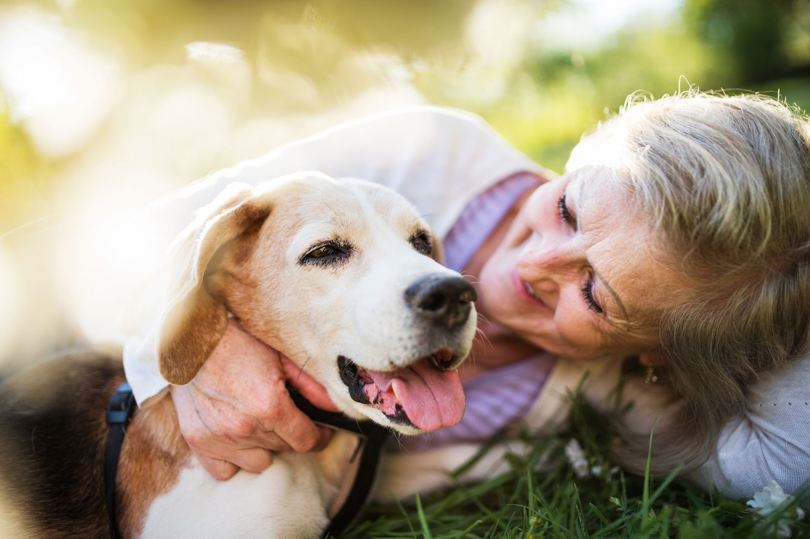 Dog with lady